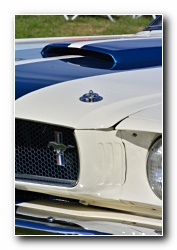 Click to enlarge Courtesy of the NAACC <br>www.naacc.ca<br>photo by Cam Hutchins