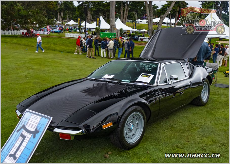 1971 Pulsante Pantera