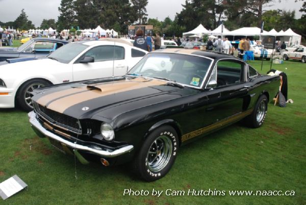 1966 Shelby Mustang GT350H