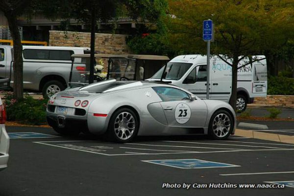 2011-quail-DSC_0050