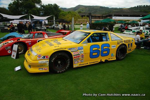 2011-quail-DSC_0860