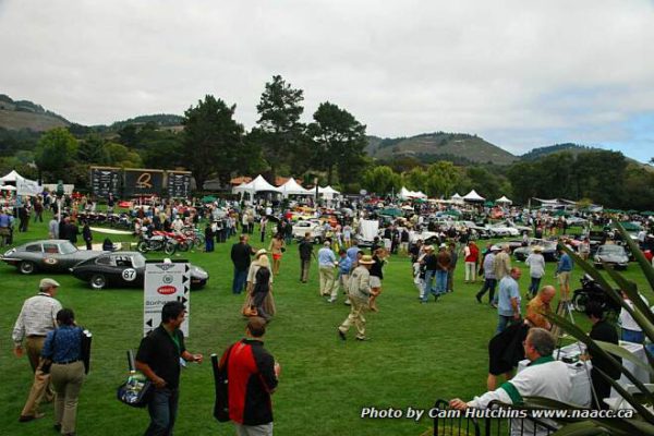 2011-quail-DSC_0982