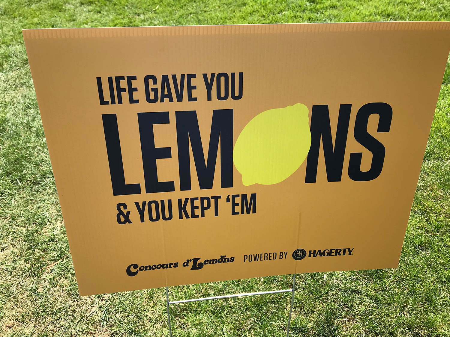 Life gave you lemons & you kept 'em