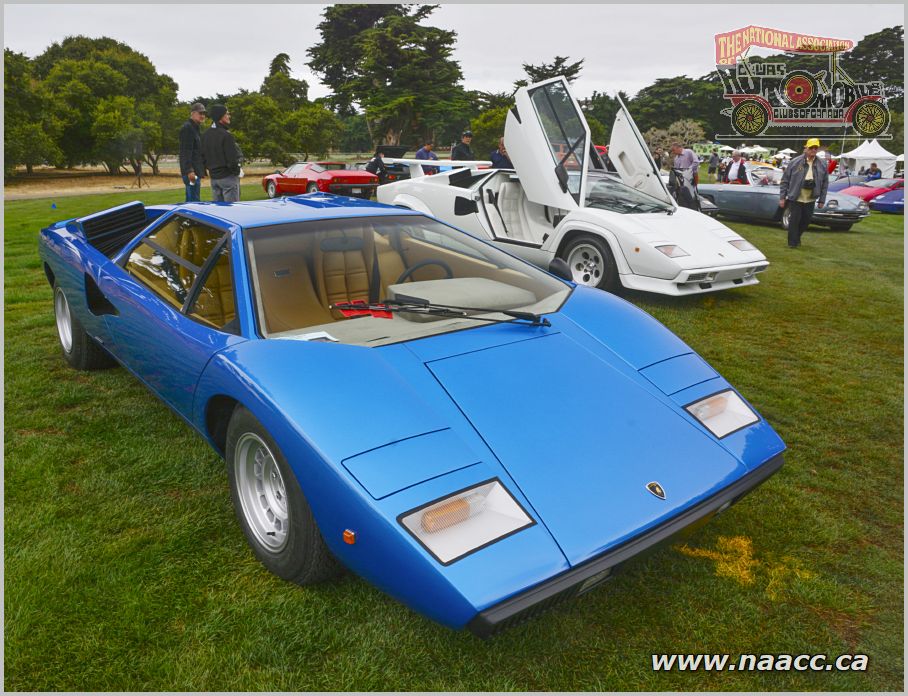 Lamborghini Countach's