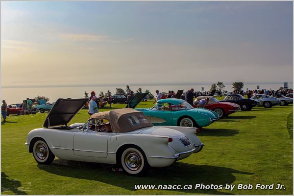 Corvettes at 2018 Cobble Beach Concours d'Elegance