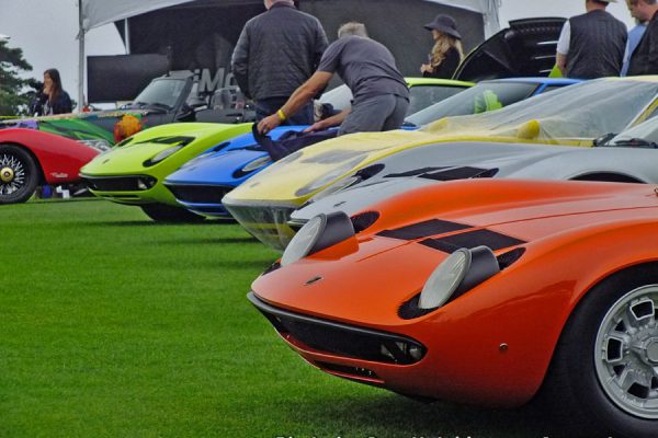 2016-concorso-DSCF7460-3